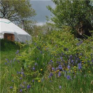 Crynfryn Farm